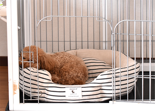 ラディカの犬用春夏ベッド